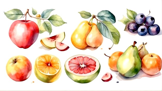 Hand drawn watercolor set of fruit