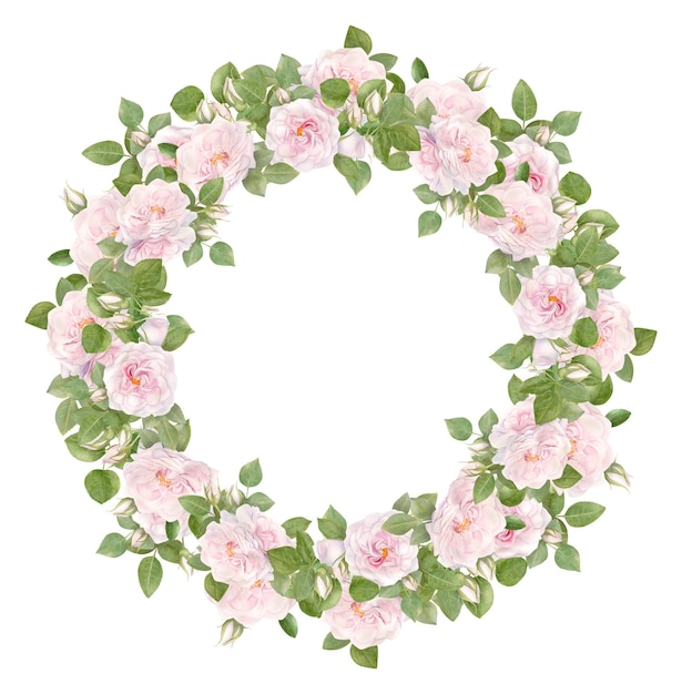 ピンクのバラの花と手描きの水彩画の花輪