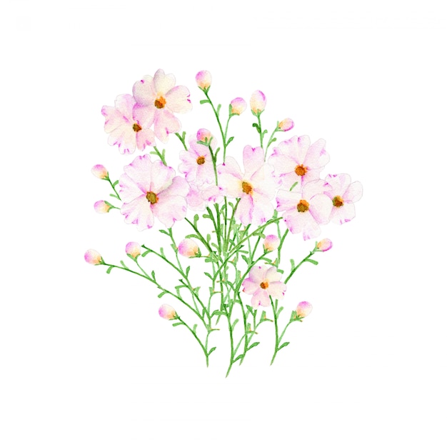 白い背景に分離された手描きの野生の花