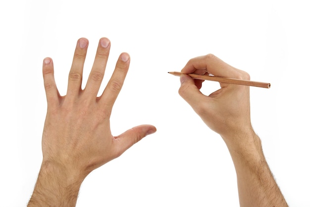 Photo hand draws with a pencil on a white background