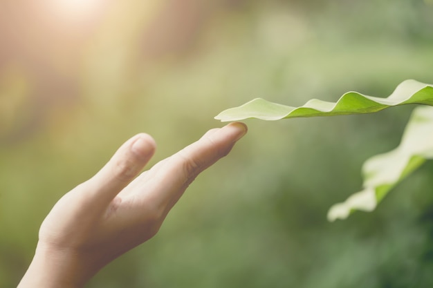 Hand en blad, teken van vriendelijk milieuconcept