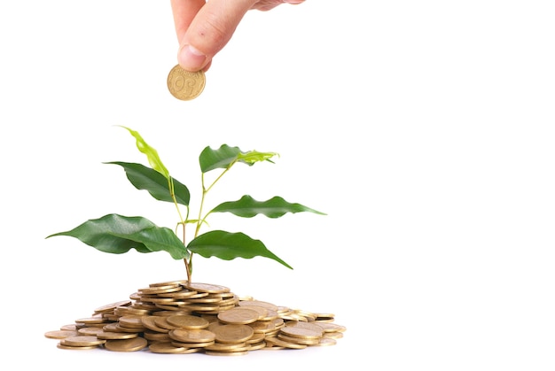 Hand en groene plant groeit uit de munten. Geld financieel concept.