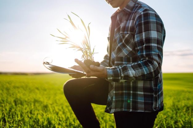 Hand of expert farmer checking soil health before growth a seed of vegetable Agriculture gardening