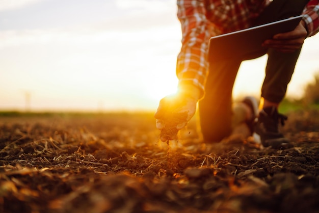 Hand of expert farmer collect soil and checking soil health before growth a seed of vegetable