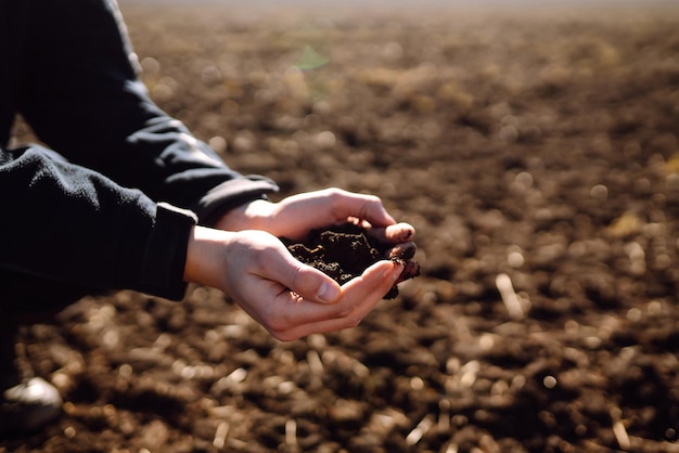 Hand of expert farmer collect soil Farmer is checking soil quality before sowing Ecology concept