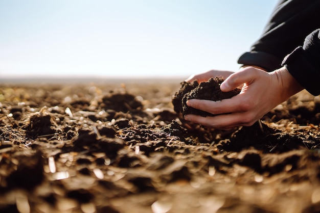 専門家の農家の手が土を集める 農家は播種前に土の質をチェックしている 生態学の概念