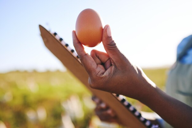 Hand of farmer in field with chickens clipboard and egg quality assurance and sustainable small business farming in africa poultry farm inspection checklist and person in countryside with grass
