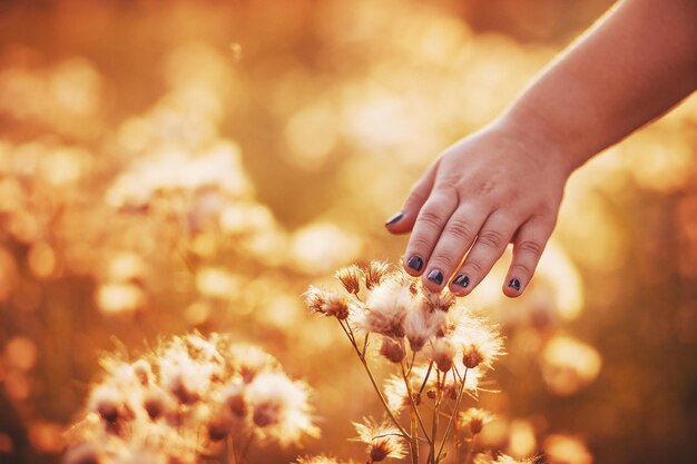 The hand on the flower