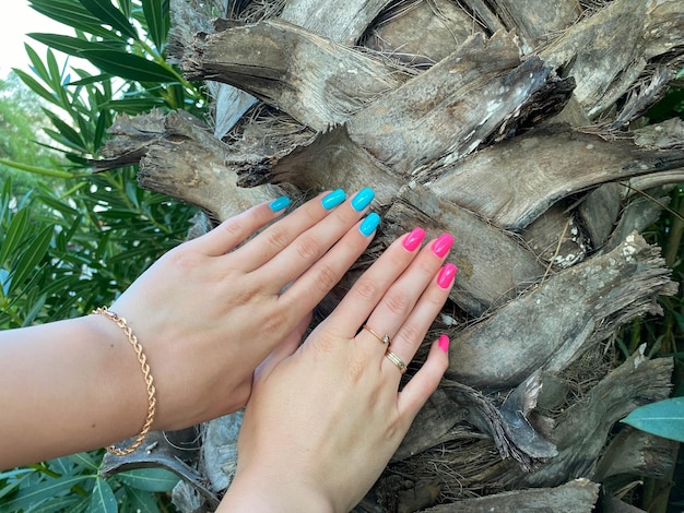 Hand in front of old growth Ponderosa Pine tree