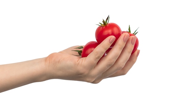 Hand full of cherry tomatoes isolated on a white background photo