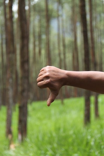 hand gestures isolated