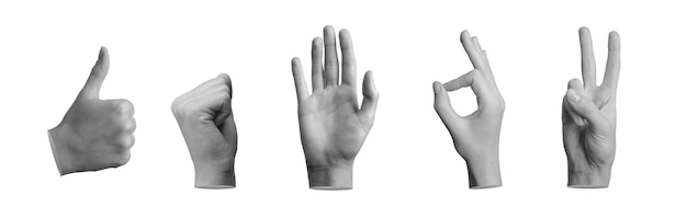 Фото Ручные жесты, пальцы, показывающие победу, приветствие, кулак, знаки, выделенные на белом.