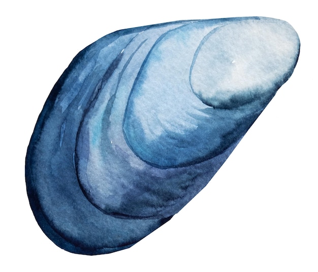 Hand getekend aquarel blauwe mossel zeeschelp geïsoleerd op wit onderwater illustratie voor wenskaarten zomer strand bruiloft uitnodigingen en andere druk- en ambachtelijke projecten