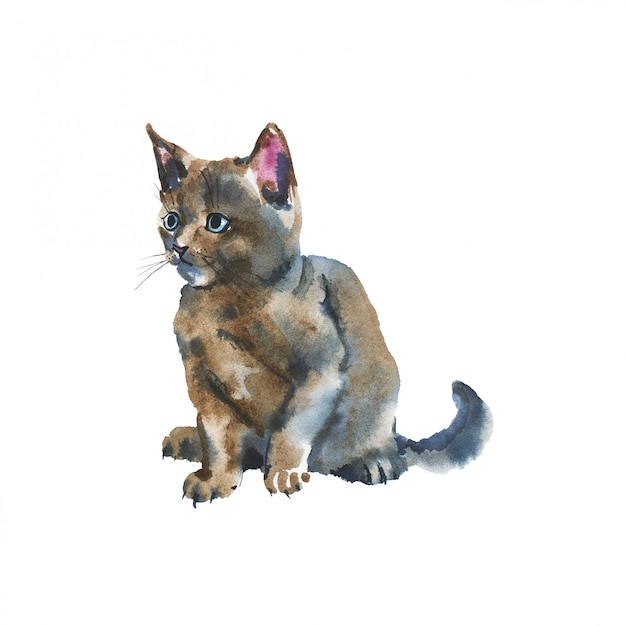 Hand getekend grijs pluizig kitten. Waterverf Russische blauwe kat op wit