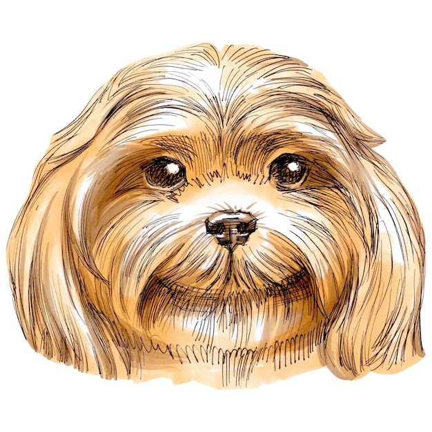 Hand getrokken schets markers illustratie van schattige hond portret.