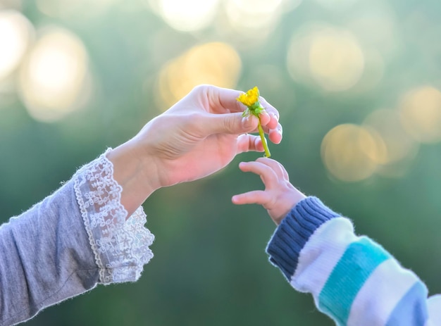 Hand giving a flower Mother and son