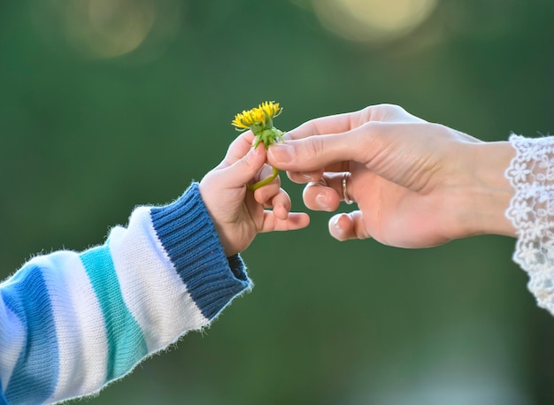 Hand giving a flower Mother and son