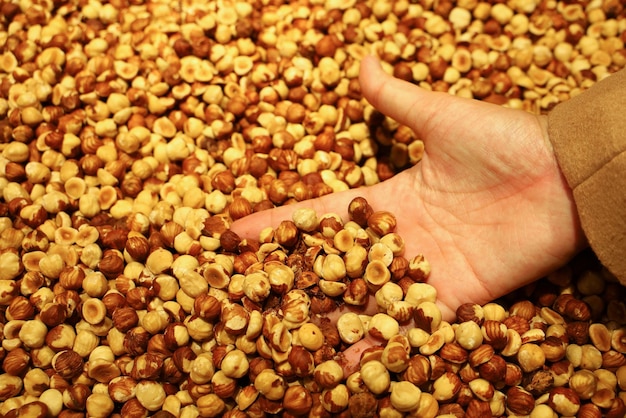 Hand in The Hazelnut for food background