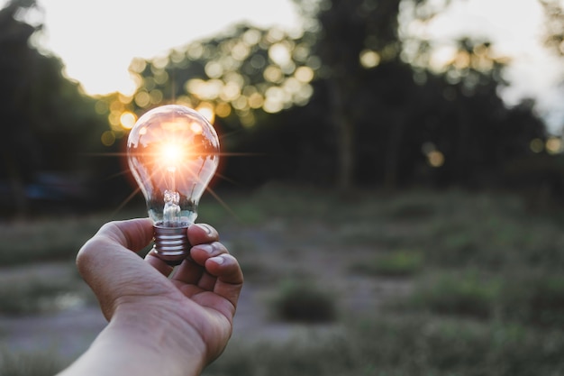 hand hold a light bulb