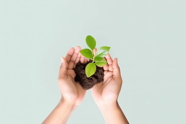 손을 잡고 식물은 녹색 파스텔 배경에 고립된 환경 캠페인을 저장합니다