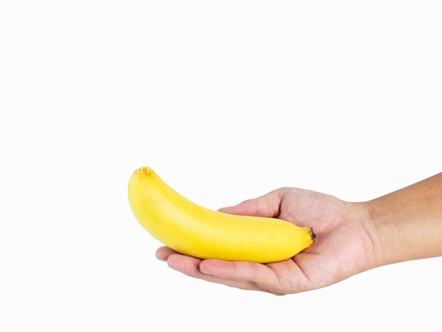 Hand holding 1 banana golden yellow ripe ready to eat rich in nutrients Great effect shot in a studio on a white background with clipping paths and copy space isolated