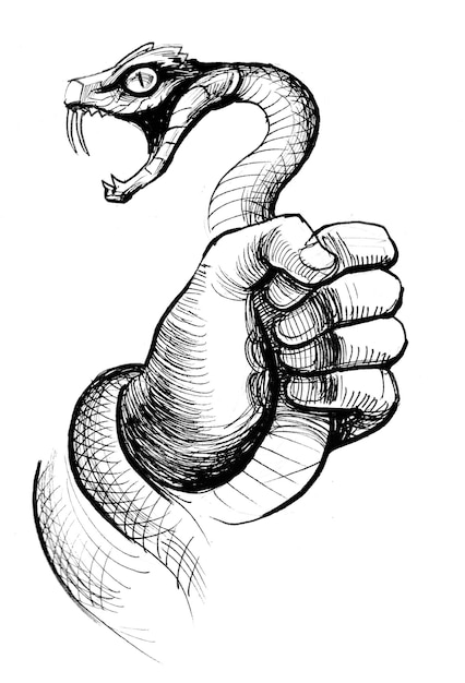 Hand holding an angry snake. Ink black and white drawing