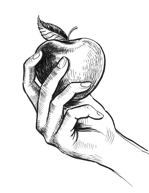 Hand holding an apple. Ink black and white drawing