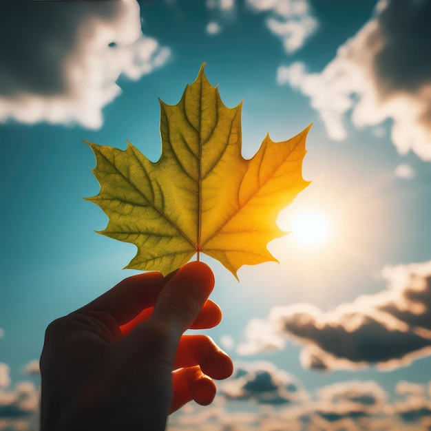 hand holding autumn leaves