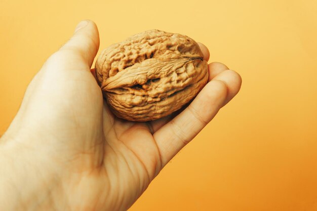 Hand holding big walnut on a yellow background