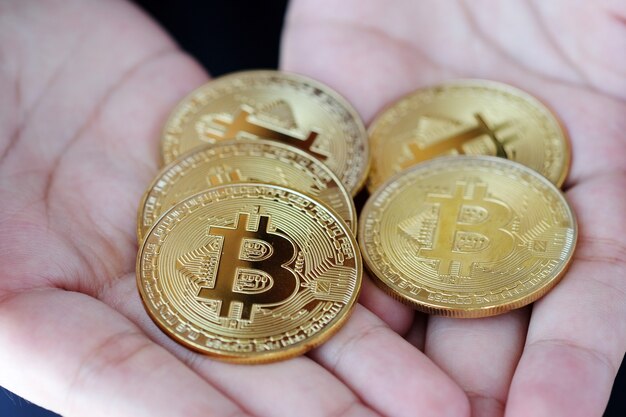 Hand holding bitcoins