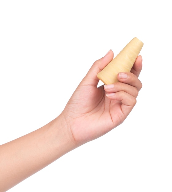 hand holding boiled bamboo shoots isolated on white background