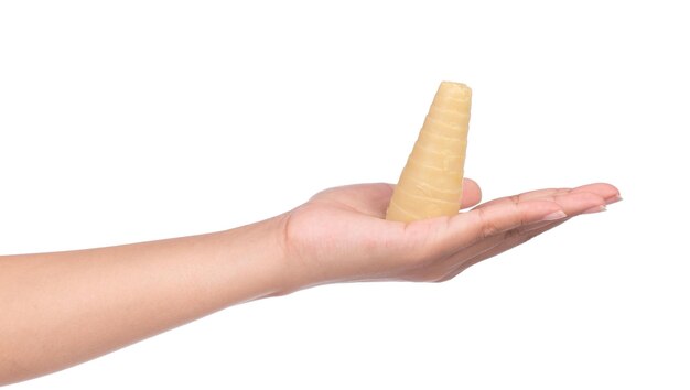 hand holding boiled bamboo shoots isolated on white background