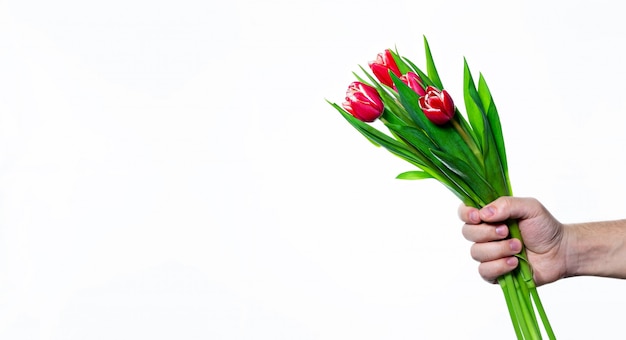 hand holding bouquet of beautiful spring tulips.