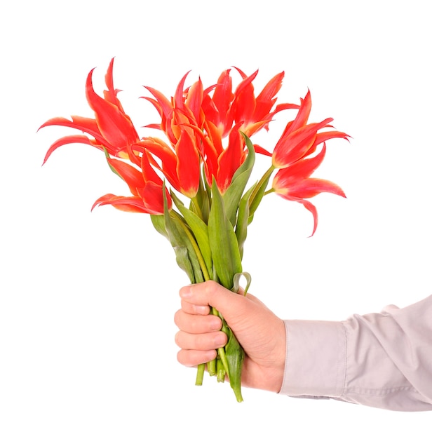 Hand holding bouquet of flowers