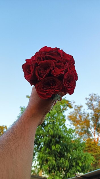 Hand holding a bouquet