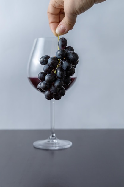 Hand holding bunch of grapes Glass of red wine in the background Selective focus