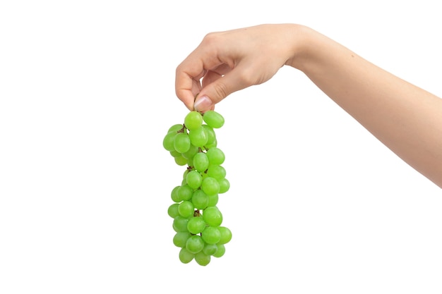 Hand holding bunch of grapes isolated on a white background