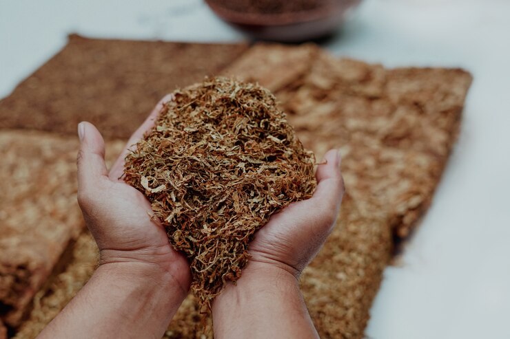 Hand holding bunch of sliced tobacco