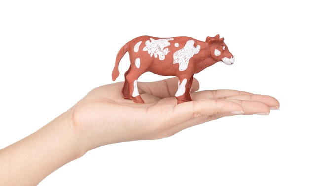 写真 白い背景で隔離の子供のための子牛のプラスチックのおもちゃを持っている手