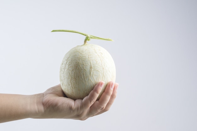 Hand holding cantaloupe melon