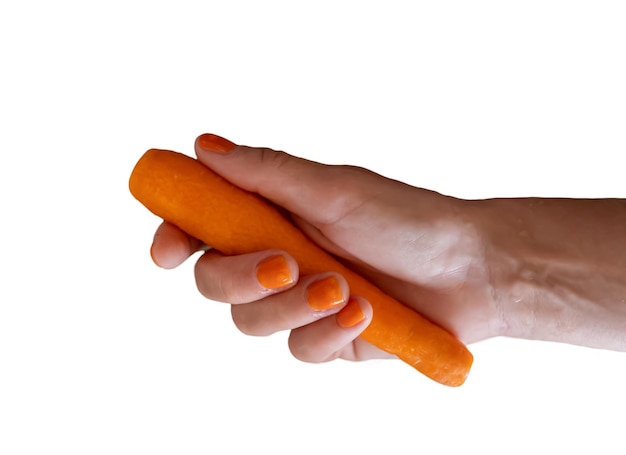 Hand holding carrot