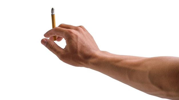 색 배경 에 고립 된 갈매기 담배 를 들고 있는 손