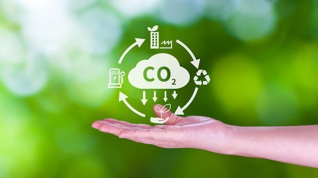 Hand holding CO2 reducing virtual icon for decrease carbon dioxide emission carbon footprint and carbon credit to limit global warming from Bio climate change concept
