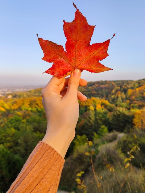 Hand holding colorful autumn leaf