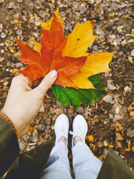 Hand holding colorful autumn leaf