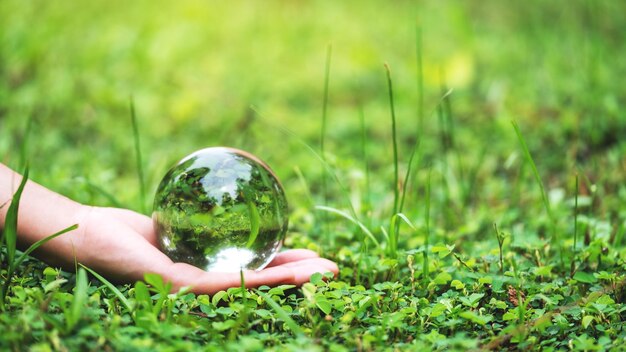 Una mano che tiene la sfera di cristallo nel campo in erba per il concetto di ambiente