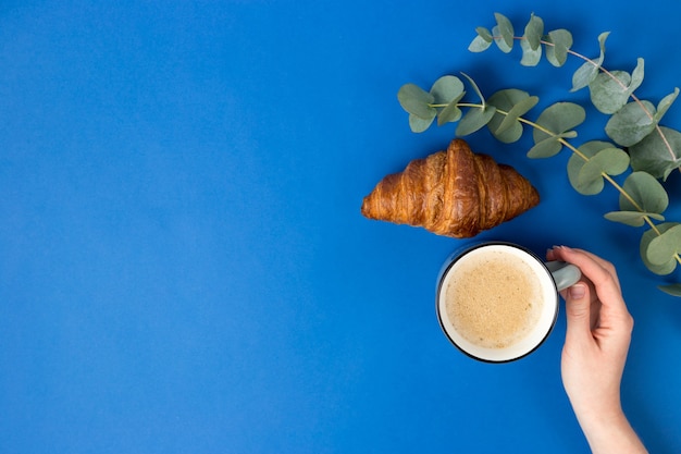 Hand holding cup of coffee, croissant and eucalyptus leaves on Blue background.