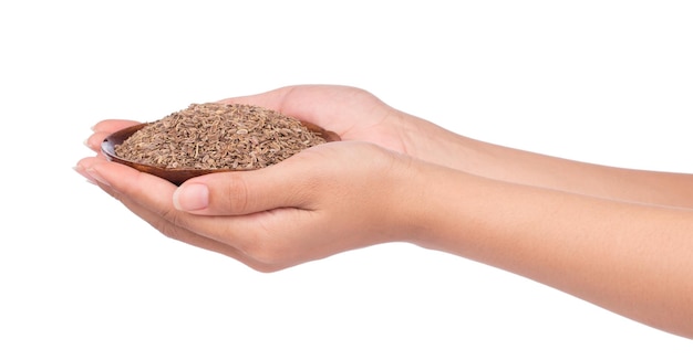 hand holding dish of dill seeds seasoning isolated on white background