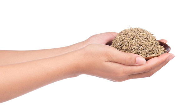 hand holding dish of Dried Rosemary isolated on white background