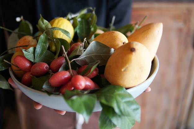 Photo hand holding dish with mango lemon, indian ivy-rue zanthoxylum limonella alston